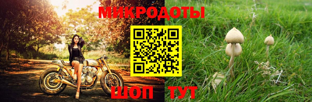 Галлюциногенные грибы MAGIC MUSHROOMS  Вход с VPN  Клин 